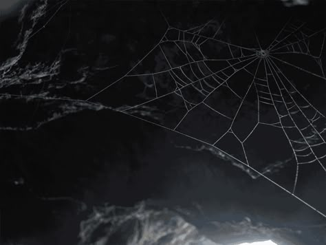 NA Spider Gif Banner, Projector Photography, Black And White Gif, Dark Grunge Aesthetic, Aquarius Season, Icon Gif, Dark Christmas, Cute Banners, Dark Grunge