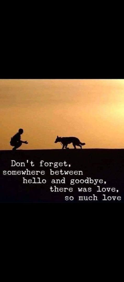 Dog Sayings, Dog Lover Quotes, Dead Dog, Cool Backgrounds, Dog Quotes, So Much Love, Four Legged, Dog Lover, Texts