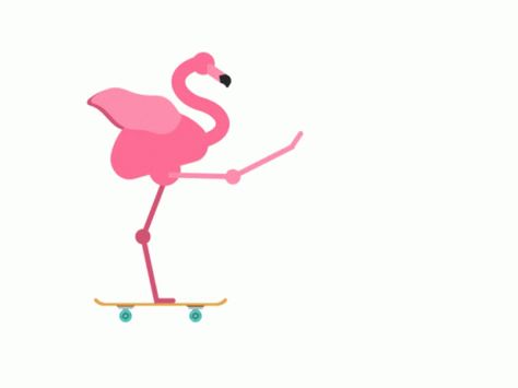 Flamingo Skateboarding GIF - Flamingo Skateboarding - Discover & Share GIFs Flamingo Animation, Back To School Gif, Friday Gif, Back To School Videos, Kids Animation, Glitch Gif, Snoopy Dance, Flamingo Graphic, Flamingo Theme