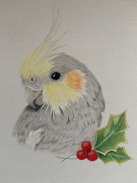 Red Parrot Drawing, Cockatiel Drawing Easy, Cockatiel Drawing, Budgie Sketch, Parrot Colour Pencil Drawing, Bumble Bee Wall Art, Wildlife Drawings, Colored Pencil Lessons, Budgie Watercolour Painting