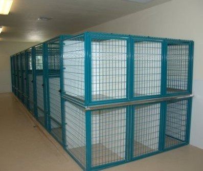 Stackable Kennels — Presidio Custom Kennels - NEW Cat Kennel Ideas, Custom Kennels, She Shed Ideas, Grooming Room, K9 Kennels, Pet Store Ideas, Kennel Ideas, Cat Kennel, Shed Ideas