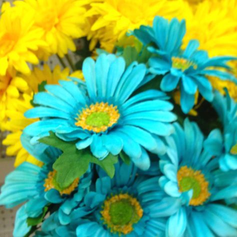 Teal and Yellow Turquoise Cottage, Chaotic Mind, Yellow Wedding Bouquet, Yellow Cottage, Oopsy Daisy, Sunflower Pictures, Yellow Turquoise, Teal Yellow, Yellow Wedding