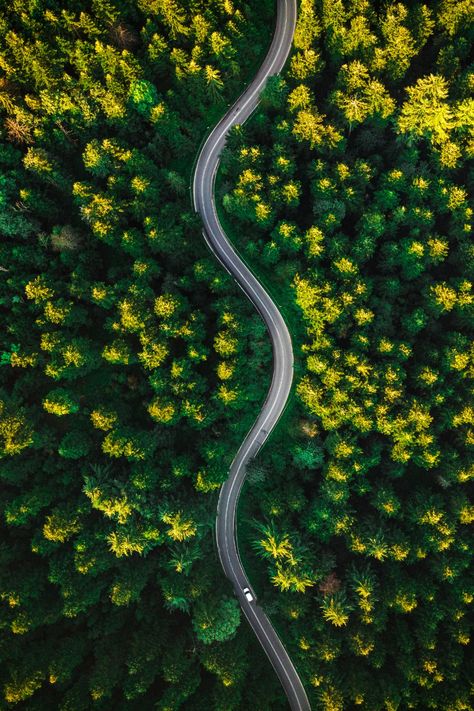 aerial photography drone landscapes Identity Moodboard, Aerial Views Landscape, Perspective Photos, Drone Shots, Aerial Photography Drone, Aerial Photos, Aerial Images, Forest Path, Aerial Drone