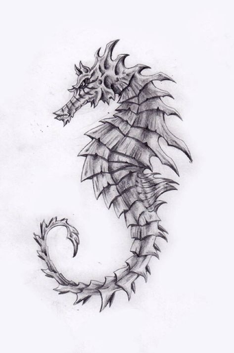 Sea Horse Tattoo, Dragon Seahorse, Seahorse Drawing, Drawings Of Animals, Easy Pencil Drawings, Seahorse Tattoo, Seahorse Art, Pencil Drawings Of Animals, Sea Horses