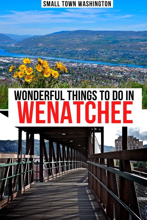 Photo from a Wenatchee hike over the city with yellow flowers. Photo of a bridge in Wenatchee WA. Text reads "wonderful things to do in Wenatchee." Small Town Washington, Lake Wenatchee, Wenatchee Wa, Washington Things To Do, Wenatchee Washington, Washington Trip, Washington State Travel, Washington Travel, Trip Destinations