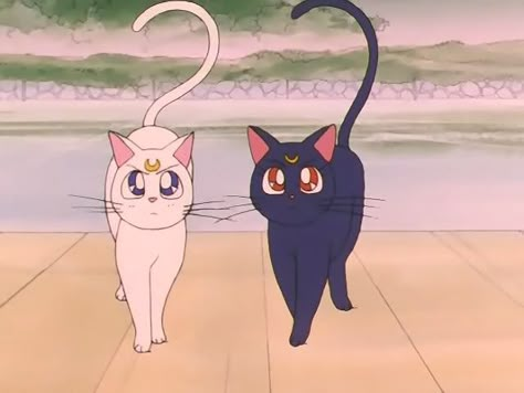 Luna And Artemis Matching Pfp, Luna X Artemis, Artemis And Luna, Luna Artemis, Sailor Moon Cat Pfp, Artemis Costume, Luna Artemis Sailor Moon, Sailor Moon Luna And Artemis, Luna Artemis And Diana