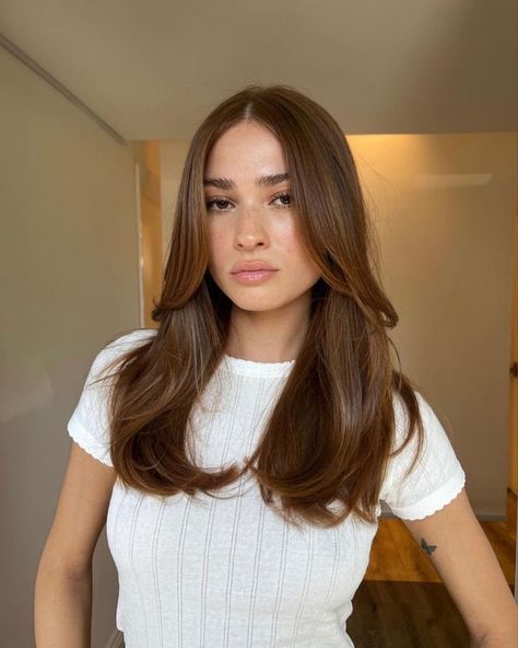 Honey Brown Hair, Brown Hair Looks, Brown Hair Inspo, Hairstyles For Layered Hair, Long Brown Hair, Haircuts For Medium Hair, Haircuts Straight Hair, Hair Inspo Color, Medium Length Hair Cuts