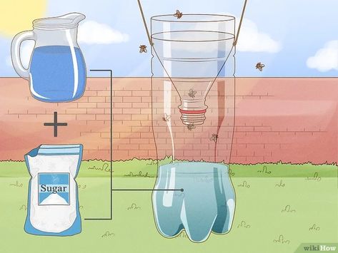 How to Get Rid of Flies in the House: 11 Quick Solutions Fly Repellant Diy, Killing Flies, Fly Infestation, House Bugs, Get Rid Of Flies, Aqua Net, Natural Repellent, Pet Area, Fly Swatter