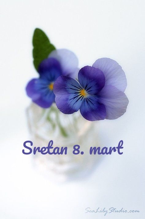 Osmi Mart Cestitke, Osmi Mart, Dan Zena, 8. Mart, 8 Mart, Love Images, Fashion Dresses, Happy Birthday, Birthday