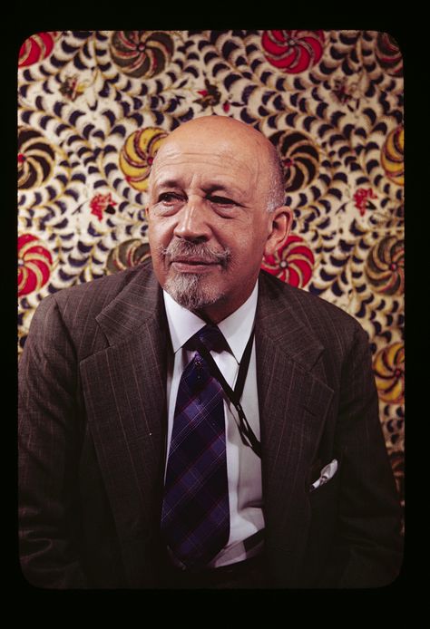 W. E. B. Du Bois W E B Dubois, Web Dubois, African Diaspora, African American History, Black American, Black Culture, History Facts, The New Yorker, Black Is Beautiful