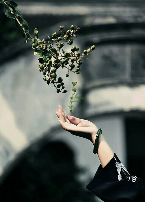 Grace Foster, Morgana Le Fay, Earth Powers, Hand Photography, Magic Aesthetic, Fantasy Story, Witch Aesthetic, Fantasy Aesthetic, 판타지 아트