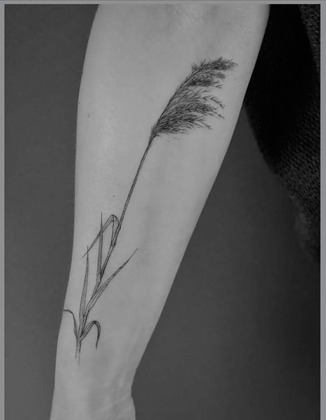 Wild Grass Tattoo Design, Rice Plant Tattoo Design, Marsh Grass Tattoo, Reed Grass Tattoo, Reed Tattoo Design, Prairie Grass Tattoo, Beach Grass Tattoo, Seagrass Tattoo, Pampas Tattoo