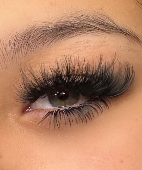 Have you booked your appointment yet? Set: Mega Volume Set 💕 Lengths: longest 19mm Duration: 1.5 hours - Prestige Lash Academy now available for the month of May - Exquisite for a reason💕 ________________________________ #lashgoals #minklashes #lashlove #lashtech #pheonixsalonsuites #bmorelashtech #valashes #explorepage #volumelashes #theshaderoom #lashgoddess ##lashtips #alexandriavasalon #missisaugalashes #alexandrialashtech #lashgod #eyelashextentions #dmv #dclashtech #dmvlashtech #val... Lash Academy, Eyelash Extentions, Month Of May, Volume Lashes, For A Reason, 5 Hours, Mink Lashes, Lash Extensions, The Prestige