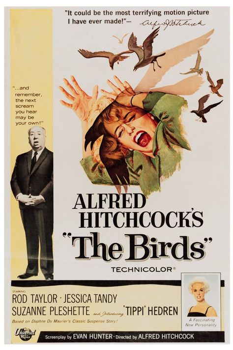 Creep or Craftsman? Alfred Hitchcock Was Both - NYTimes.com The Birds Movie, Alfred Hitchcock The Birds, Jessica Tandy, Suzanne Pleshette, Vintage Films, Tippi Hedren, Old Movie Poster, Movie Poster Frames, Alfred Hitchcock Movies