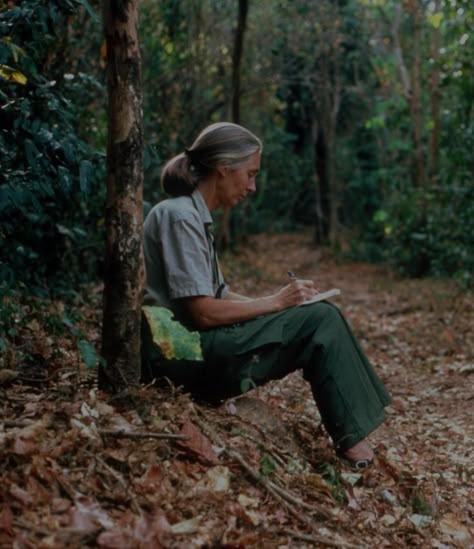 Park Ranger Aesthetic, Writing In A Journal, Wildlife Biology, Teacher Aesthetic, Environmental Scientist, Conservation Biology, Wildlife Biologist, Environmental Studies, Jane Goodall