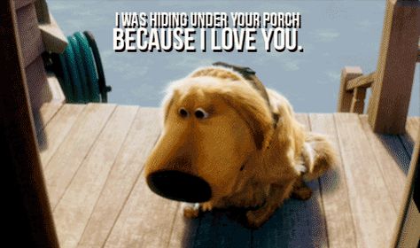 i was hiding under your porch because i love you. Pixar Quotes, Up Dog, Because I Love You, Great Movies, Disney Love, A Sign, Disney Magic, Movie Quotes, Disney Movies