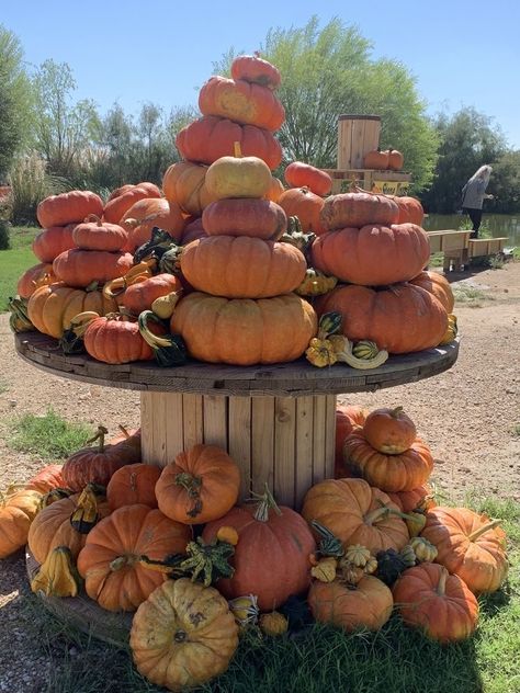 Pumpkin Stand Diy, Fall Farmstand Displays, Pumpkin Selling Display, Pumpkin Sale Stand, Roadside Pumpkin Stand, Pumpkin Farm Stand, Pumpkin Patch Display Ideas, Pumpkin Patch Display, Pumpkin Displays Outside