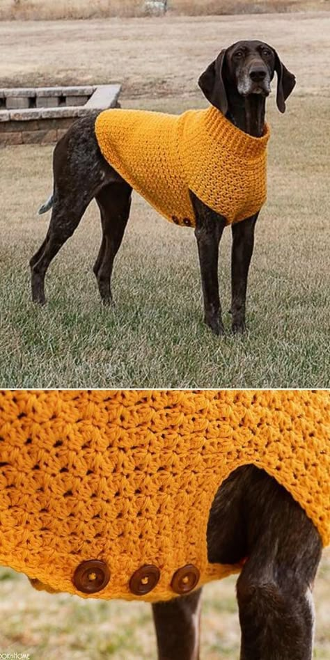 Dog Jumper Pattern, Crochet Dog Sweaters, Crochet Dog Sweater Free Pattern, Dog Sweater Crochet, Sweater Free Pattern, Large Dog Sweaters, Dog Dress Pattern, Crochet Dog Clothes, Dog Coat Pattern