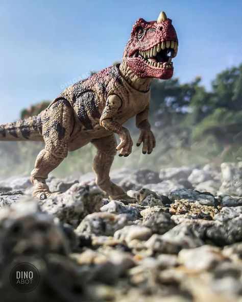 Dinosaur Art by ABOT on Instagram: "*Gulp!* A CERATOSAURUS FOLLOWING ME! 😨 - I can officially say, this is my first @mattel figure photoshoot! If you know me well, I usually prefer seamless figure over articulated one. Somewhat, I would like to try something new. What do you guys think? And... Have you got one yet? ✌🏻☺️📸 ⠀⠀⠀⠀⠀⠀⠀⠀⠀ > [SMALL REVIEW] This figure is AMAZING! Love the colours, love the details, love the body proportion. To made it more believable, this figure was simply washed wit Dinosaur Toy Photography, Toy Dinosaurs Photography, Jurassic World Toy Photography, Dinosaur Photography, Jurassic World Hybrid, Jurassic Park Toys, Jurassic World 2, Dinosaur Figures, Miniature Photography