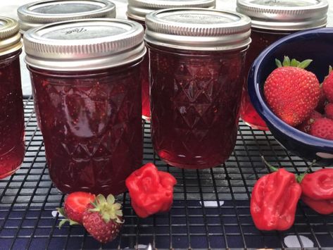 Ghost Pepper Strawberry Jam - Strawberry Pepper Jelly Recipe, Ghost Pepper Jelly Recipe, Garlic Jam Recipe, Ghost Pepper Jelly, Pepper Jelly Recipe, Hot Pepper Recipes, Fruit Jam Recipes, Pepper Jelly Recipes, Chili Pepper Recipes