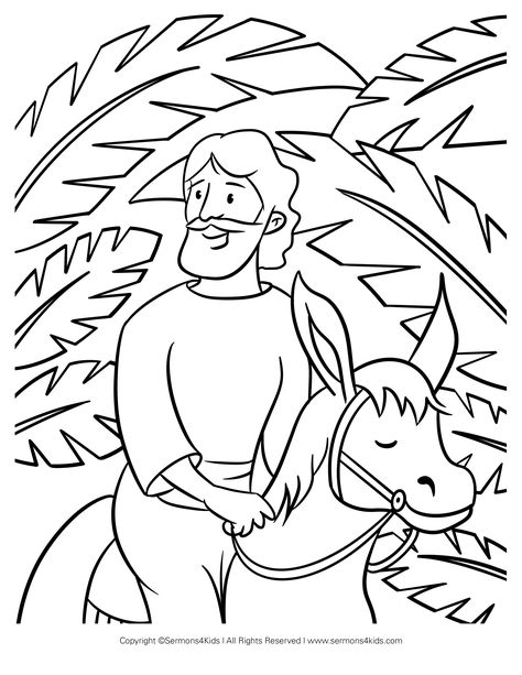 Jesus enters Jerusalem on a donkey on Palm Sunday #childrenssermon #Sundayschool #kidmin #childrenschurch #childrensmessage #Sundayschoollesson #Biblelesson Triumphal Entry Craft, Palm Sunday Story, Jesus Preschool, The Triumphal Entry, Triumphal Entry, Easter Kindergarten, Palm Sunday Crafts, Bible Crafts Sunday School, Bible Story Crafts