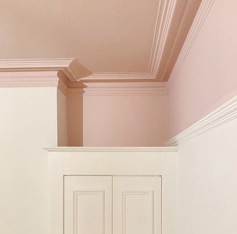 Pink Feature Wall, Matt Interior, Light Pink Paint, Light Pink Walls, Pink Ceiling, Door Texture, Millennial Pink, Picture Rail, Texture Paint