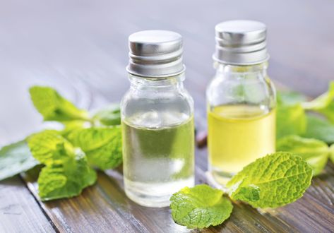 Homemade Essential Oils, Making Essential Oils, Mint Oil, Ginger Essential Oil, Diy Essentials, Vanilla Essential Oil, Peppermint Leaves, Infused Oils, Peppermint Oil