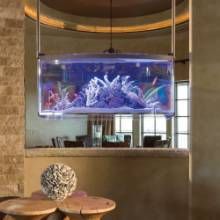 This “Spacearium” is suspended, allowing natural light to pass through the tank. #uniquedecor #phgmag Kitchen Island Fish Tank, Ocean Room Decor, Custom Aquarium, Amazing Aquariums, Aquarium Setup, Home Aquarium, Coral Design, Aquarium Design, Reef Aquarium