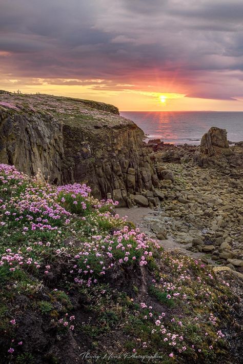 📸Thierry Hervé Photographie, est à Saint-Pierre-Quiberon (56) en Bretagne. French Summer, St Pierre, Lifestyle Inspiration, 2024 Vision, Vision Board, France, Lifestyle, Flowers, Travel