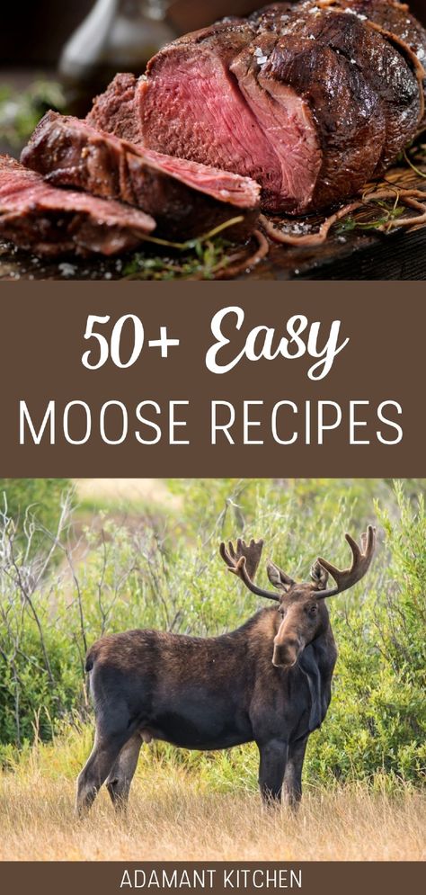 Discover 50+ easy moose recipes to make the most of your wild game harvest. From moose burgers to moose chili, these delicious recipes will help you cook moose meat like a pro. High in protein and low in fat, moose is a lean, healthy option for any meal. Find more big game hunting, venison recipes, wild meat recipes, and Wild Game Recipes at adamantkitchen.com. Canned Moose Meat Recipes, Moose Backstrap Recipes, Moose Tenderloin Recipe, Moose Marinade, Moose Heart Recipes, Wild Meat Recipes, Canning Moose Meat, Moose Roast, Moose Hamburger Recipes