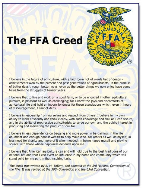 FFA creed Ffa Memes, Ffa Decorations, Ffa Teacher, Ffa Quotes, Ffa Activities, Ffa Scrapbook Ideas, Ffa Creed, Creed Poster, Agriculture Education Classroom