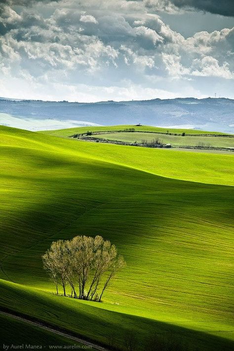 Fields & Shadows - Tuscany, Italy Velvet Tapestry, Tuscany Countryside, Trees And Clouds, Italy Countryside, Landscape Italy, Tuscany Landscape, Green Peace, Green Pastures, Toscana Italia