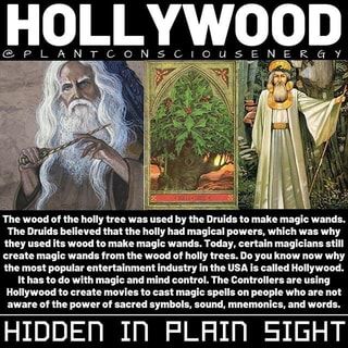 Found on iFunny Holly Trees, Ghostly Apparitions, Make Decorations, Supernatural Facts, Holly Wood, Ancient History Facts, Norse Goddess, Holly Tree, Magical Powers