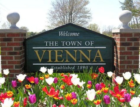 Fairfax County, Virginia City, Business Awards, Metro Station, Bingo Cards, Choice Awards, Bingo, Art World, Vienna