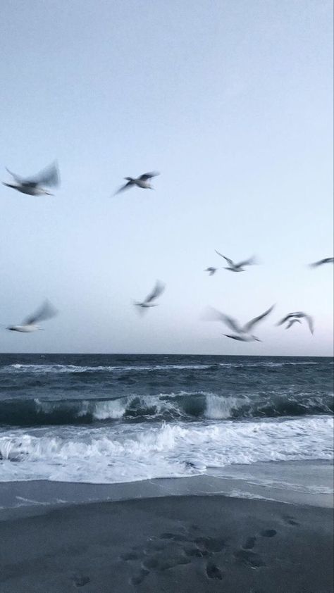 Android Lockscreen, 4k Wallpaper, The Ocean, Ios, Iphone Wallpaper, Birds, Screen, Wallpapers, Iphone