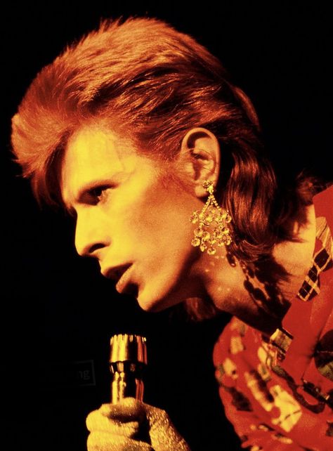 The Cher Show, Bowie Ziggy Stardust, David Bowie Ziggy, Ziggy Stardust, Glam Rock, David Bowie, Motion Picture, Stardust, Profile Picture