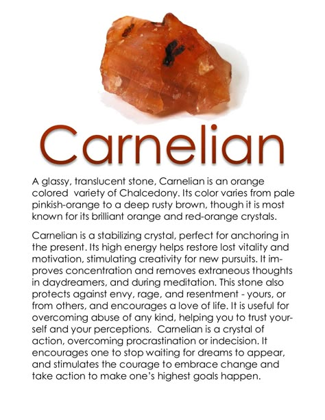 Carnelian is an extremely empowering crystal that restores vitality and motivation, helping us achieve our highest goals.  Carnelian is associated with the Sacral Chakra, balance, and positive energy. Carlenian Crystal, Carnillean Crystal Meaning, Is Carnelian Water Safe, Red Carnelian Crystal Meaning, Carnillean Crystal, Carnelian Crystal Meaning, Carnelian Properties, Crystal Carnelian, Raw Carnelian