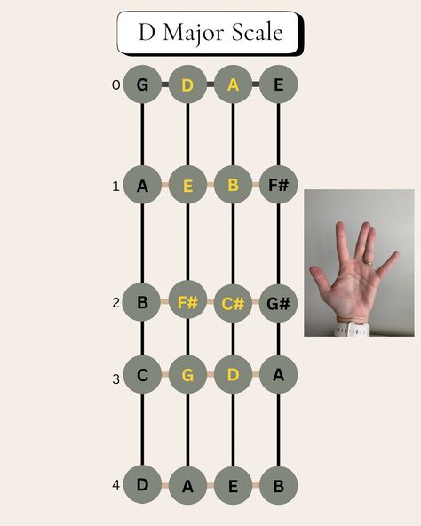 The D Major 1-octave scale uses Finger Pattern 1, with fingers 2 and 3 close together and the others spread apart. You can play this scale with or without the 4th finger. Violin Practice Chart, Aesthetic Violin, Violin Fingering Chart, Learning Violin, Sheet Music Violin, Violin Tips, Violin Aesthetic, Violin Scales, C Major Scale