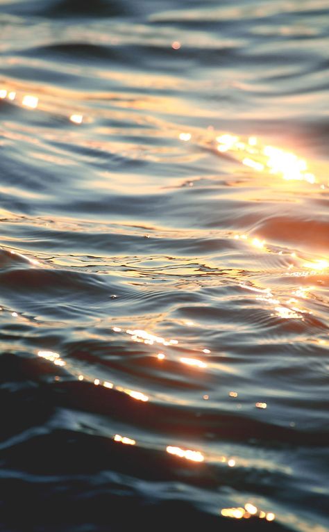 Home | Town of Dauphin Island | Coastal Alabama Waves Aesthetic, Wave Photography, Ocean Waves Photography, Calm Ocean, Dauphin Island, Bird Sanctuary, Waves Photography, Design Miami, Water Effect