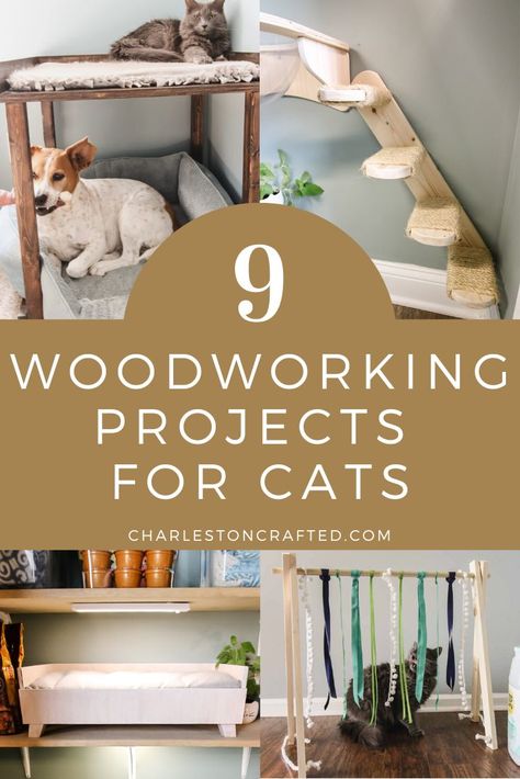 9 woodworking projects for cats Woodworking Projects For Pets, Wood Projects For Pets, Cats Diy Projects Craft Ideas, Pet Furniture Cat Diy Projects, Cat Furniture Diy Homemade, Pet Diy Projects, Weekend Woodworking Projects, Cnc Machine Projects, Woodworking Plans Patterns