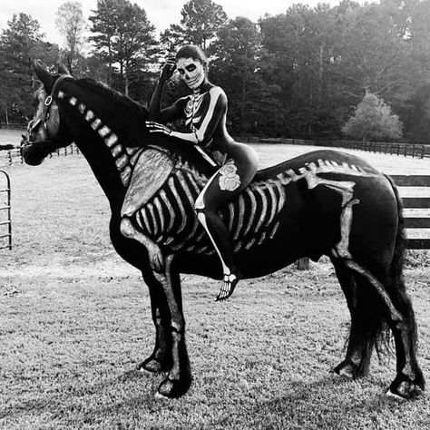 Horse Halloween Costumes, Horse Halloween, Animal Skeleton, Horse Costume, Equine Fashion, Spooky Skeleton, Horse Costumes, Horse Face, Fantasias Halloween