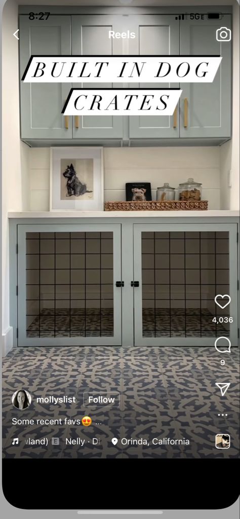 Built In Dog Bed In Laundry Room, Laundry And Pet Room Ideas, Mud Room Dog Crate, Dog Kennel Coffee Bar, Modern Built In Dog Crate, Mudroom Dog Room Ideas, Dutch Dog Door, Under Counter Dog Kennel, Dog Crate In Laundry Room