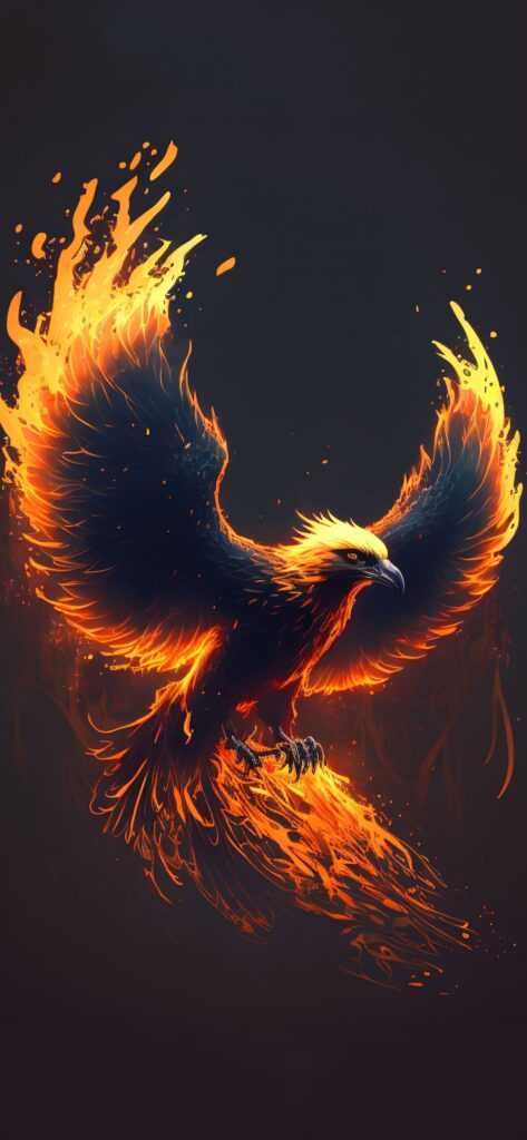 Phoenix Wallpaper Phoenix Iphone Wallpaper, Phoenix Wallpaper Iphone, Phoenix Wallpaper Hd, Fenix Wallpaper, Phoenix Background, Birds Wallpaper Hd, Phoenix Wallpaper, Phoenix Artwork, Phoenix Images