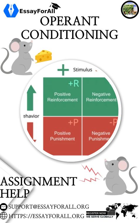 Operant conditioning assignment help provides students with a deeper understanding of the principles of learning through consequences, shaping behavior through reinforcement and punishment. Key concepts include positive and negative reinforcement, punishment, shaping, and schedules of reinforcement. (positive reinforcement to increase desired behavior, using negative punishment to decrease undesirable behavior). For more insights click on the link below Schedules Of Reinforcement, Negative Reinforcement, Branches Of Psychology, Operant Conditioning, Psychology Studies, Cognitive Psychology, Developmental Psychology, Assignment Help, Homework Help