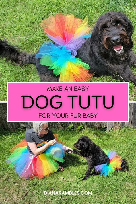 DIY Dog Tutu Tutorial How To Make A Dog Tutu, Diy Dog Tutu No Sew, Dog Tutu Diy, Diy Dog Outfits, Diy Dog Clothes, Tutu Pattern, Make A Tutu, Diy Tutu Skirt, Rainbow Costumes