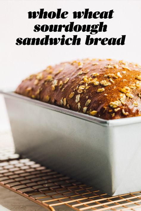 sandwich loaf in a silver tin Whole Grain Sourdough Sandwich Bread, Sourdough Whole Grain Bread, Wholegrain Sourdough Bread, Sourdough Wheat Sandwich Bread, Wholewheat Sourdough Bread Recipe, Sourdough Whole Wheat Bread, Whole Wheat Sourdough Sandwich Bread, Sourdough Loaf Bread Recipe, Whole Wheat Sourdough Starter Recipe