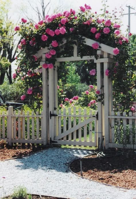 Garden Arbours, Big Leaf Plants, Garden Gates And Fencing, Garden Arbor, Backyard Remodel, Walled Garden, Garden Types, Have Inspiration, Fence Ideas