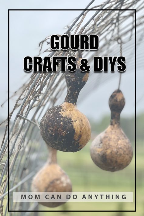 Things To Do With Gourds, Dried Gourds Fall Decor, Gourd Diy Craft Ideas, Birdhouse Gourds Ideas Diy, Pumpkin Gourds Fall Decorating, Gourd Lights Diy, Small Gourds Crafts Ideas, Dried Gourds Crafts Ideas, Diy Gourd Projects