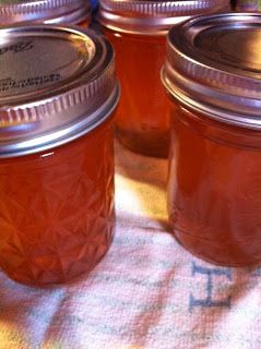 Clover Jelly Recipe, Clover Jelly, Peach Preserves Recipe, Peach Preserves, Apple Jelly, White Clover, Jelly Recipe, Peach Jam, Jelly Recipes