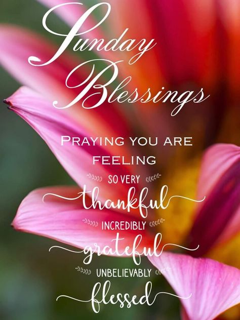 Sunday Blessings Inspiration Scriptures, Sunday Bible Verse, Sunday Scripture, Sunday Greetings, Sweetheart Quotes, Sunday Blessings, Morning Sweetheart, Sunday Love, Good Morning Sunshine Quotes